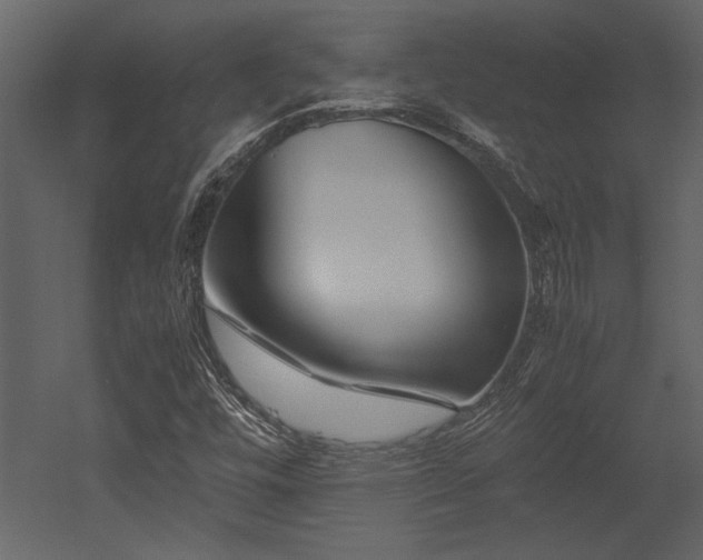 X0000053011448200507081247