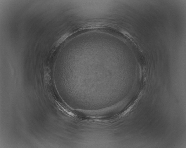 X0000053011449200507081247