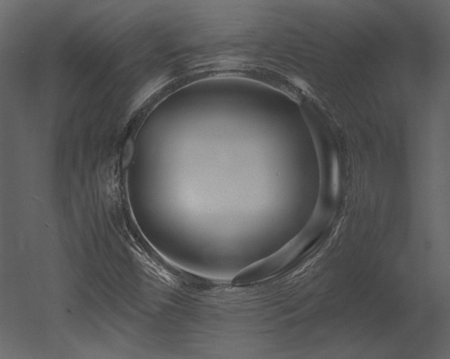 X0000053011450200507081247