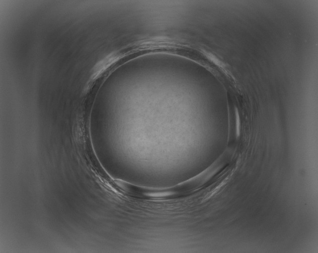 X0000053011453200507081247
