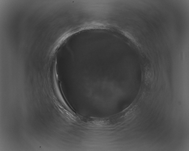 X0000053011455200507081247