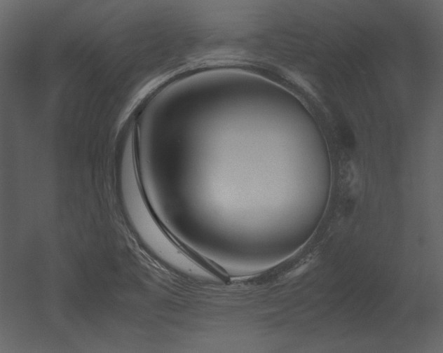 X0000053011461200507081247