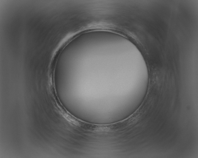 X0000053011462200507081247