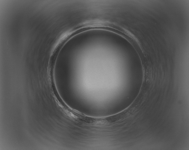 X0000053011464200507081247