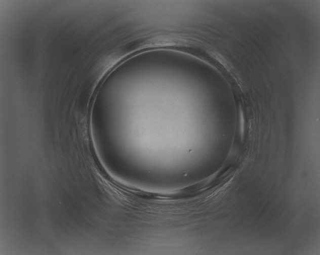 X0000053011465200507081247