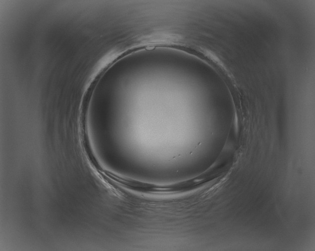 X0000053011469200507081247