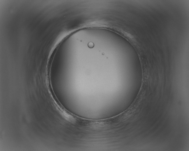 X0000053011470200507081247