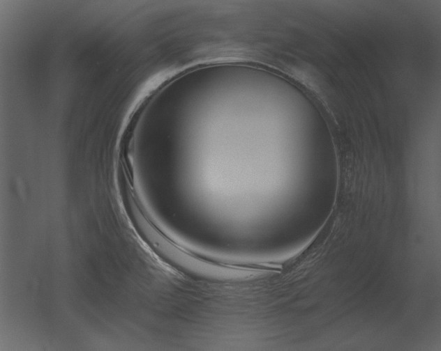 X0000053011472200507081247
