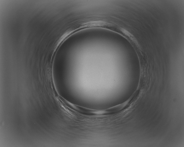 X0000053011473200507081246