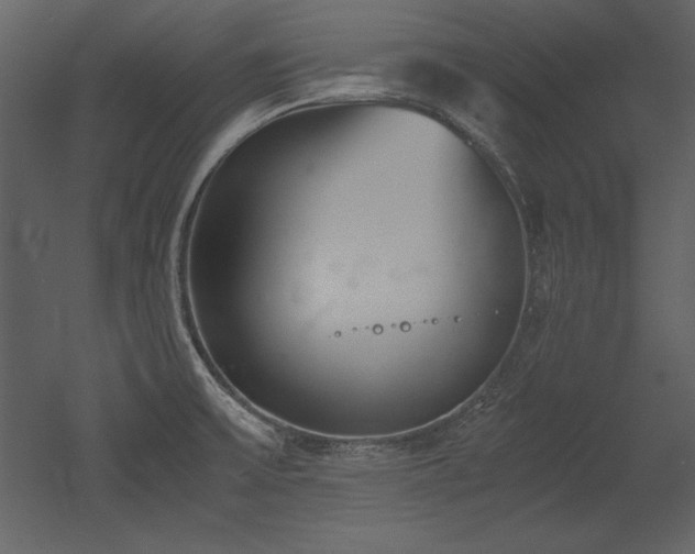 X0000053011475200507081246