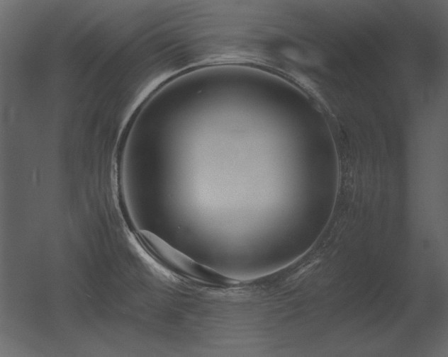 X0000053011476200507081246