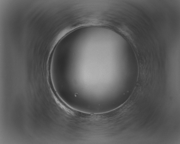 X0000053011479200507081246