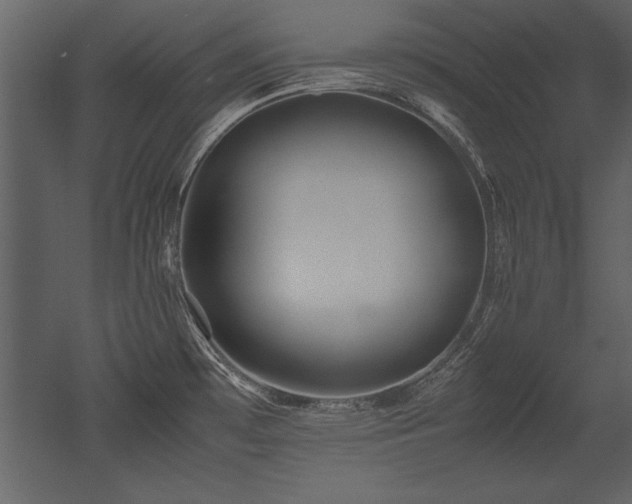X0000053011481200507081246