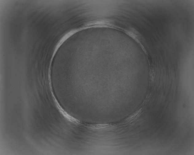 X0000053011482200507081246