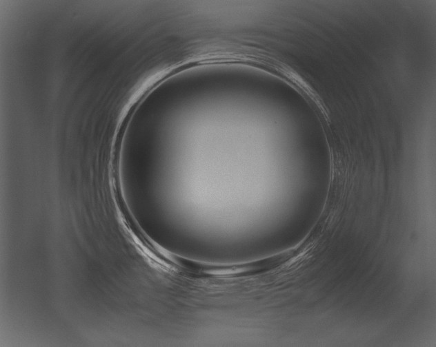X0000053011485200507081246