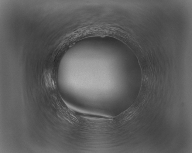 X0000053011490200507081245