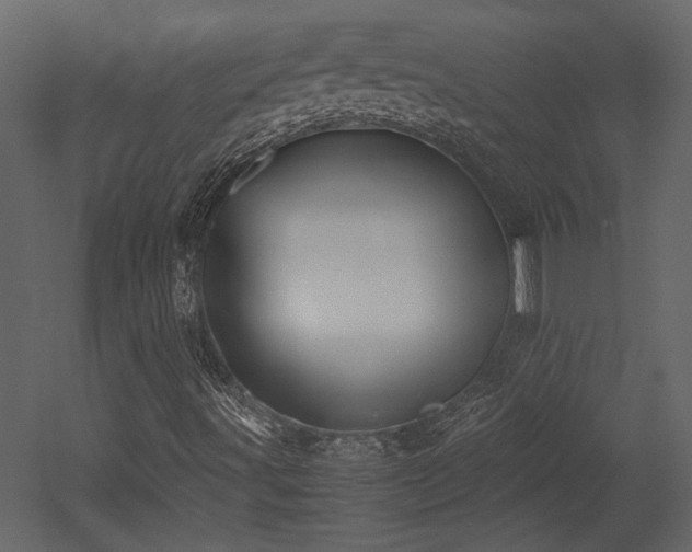 X0000053011491200507081245