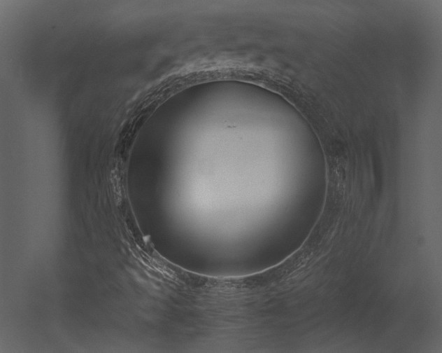 X0000053011493200507081245