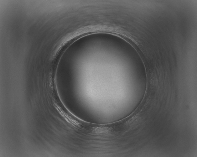 X0000053011499200507081246