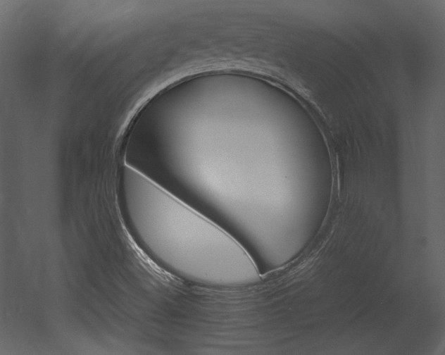 X0000053011500200507081246