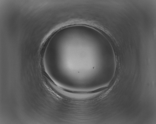 X0000053011502200507081246