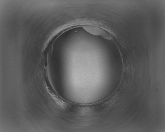 X0000053011507200507081246