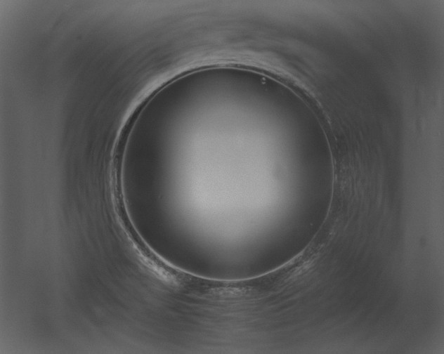 X0000053011517200507081246