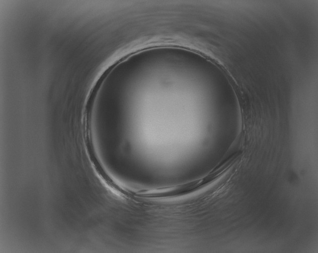 X0000053011519200507081246