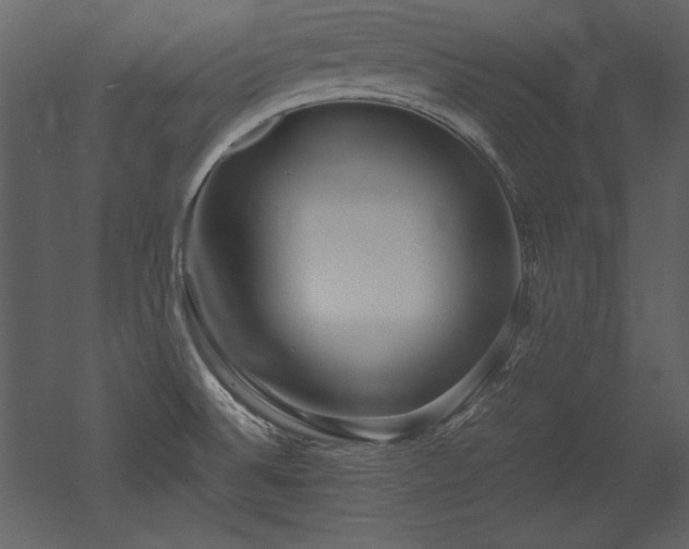 X0000053011524200507081246