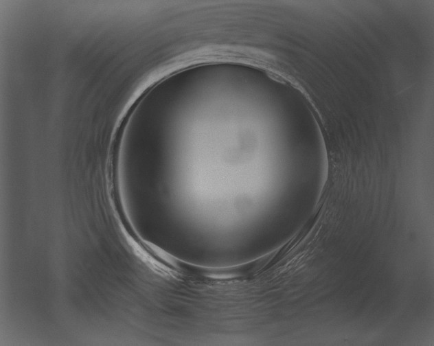 X0000053011531200507081246