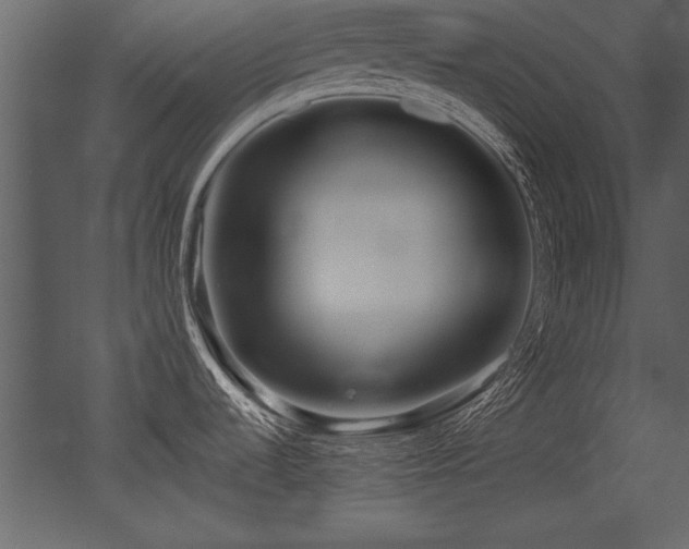 X0000053011536200507081246