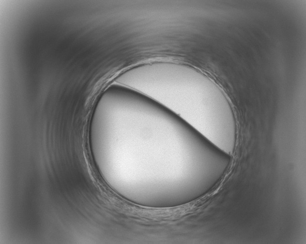 X0000053010001200507152000