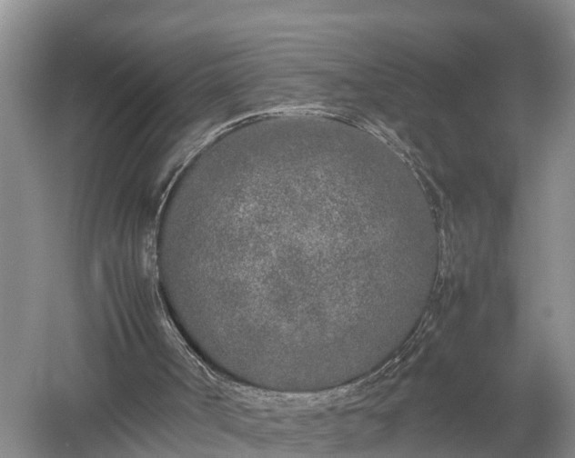 X0000053010002200507152000