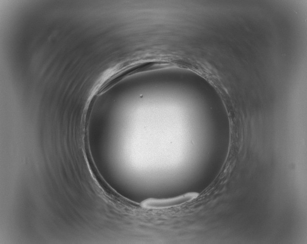 X0000053010003200507152000