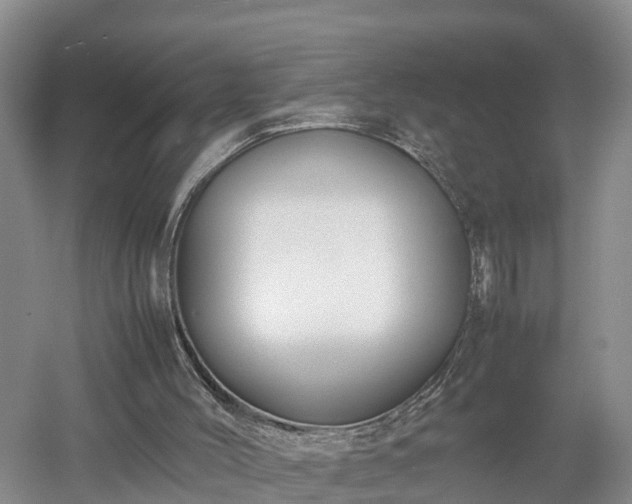 X0000053010004200507152000