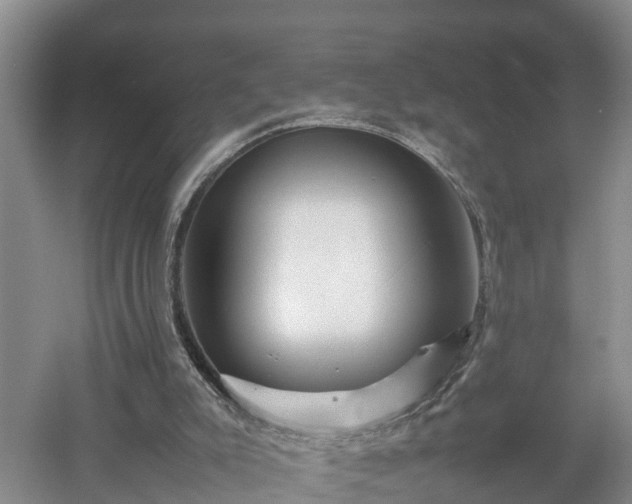 X0000053010007200507152000