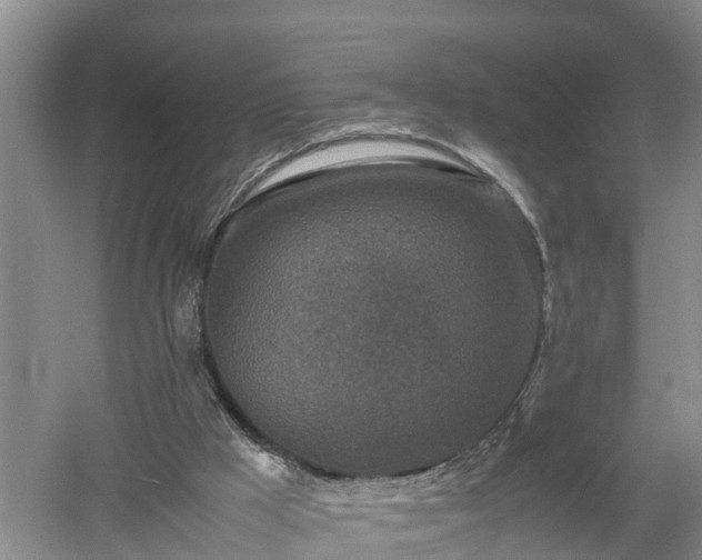 X0000053010009200507152000