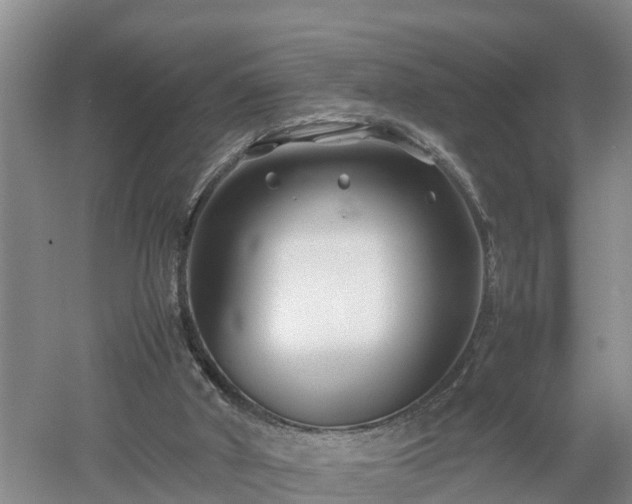 X0000053010010200507152000