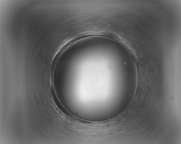 X0000053010011200507152000