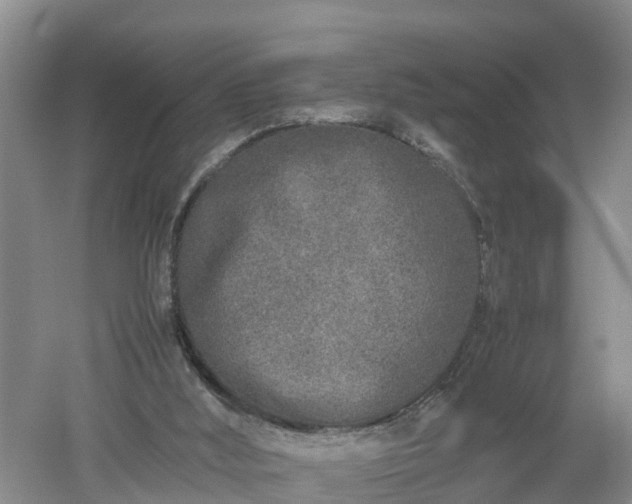 X0000053010012200507151959