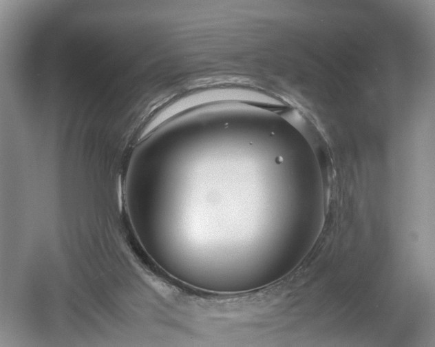 X0000053010013200507151959