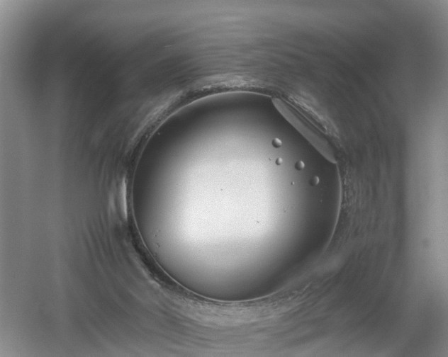 X0000053010014200507151959