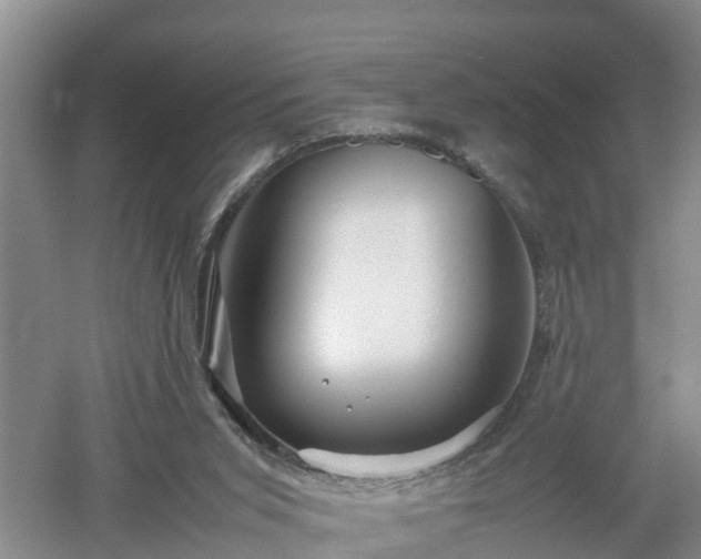 X0000053010015200507151959