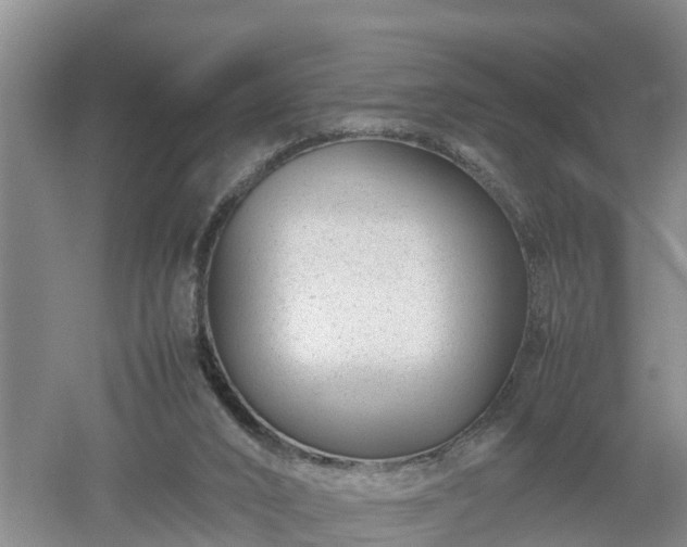 X0000053010016200507151959