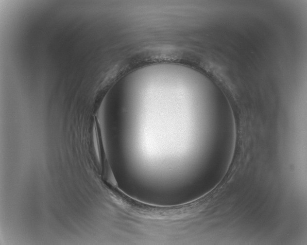 X0000053010017200507151959