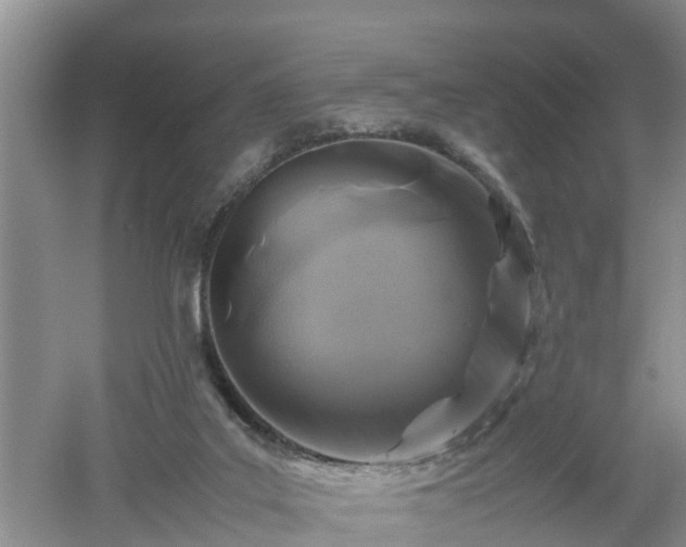 X0000053010019200507151959