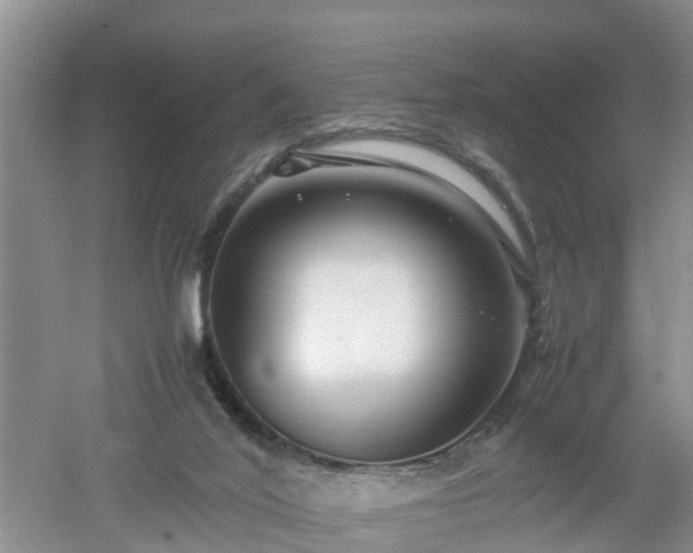 X0000053010020200507151959