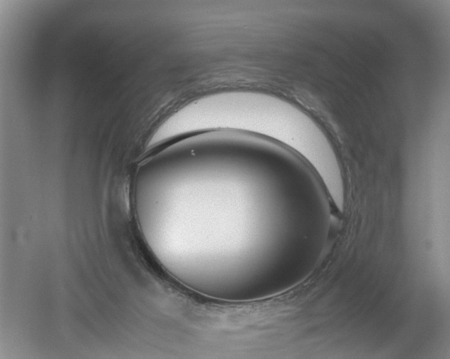 X0000053010021200507151959