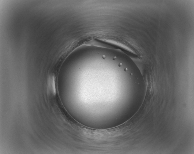 X0000053010022200507151959