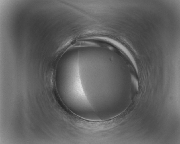 X0000053010023200507151959